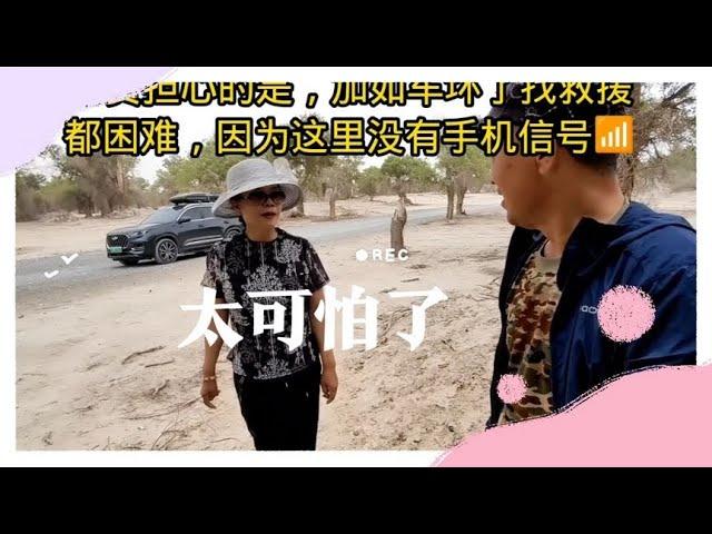 我们闯进无人区胡杨林的深处，没车没人路还不好走太可怕了。