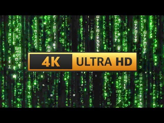 Matrix Screensaver Rain Code 12H 4K - Longest video on Youtube