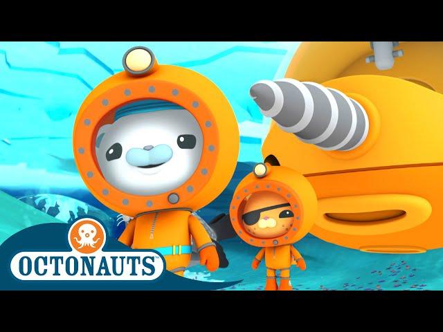 @Octonauts - ‍️ The Great Arctic Adventure ️ | Series 3 | Winter Special! | Cartoons for Kids