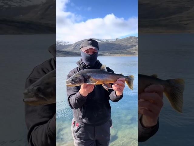 THIS IS YOUR SIGN TO GO FISHING IN ICELAND 