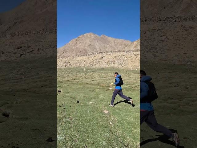 asmr running in the Himalayas #asmr #running #lehladakh #runshorts #run #nature #wildlife #himalayas