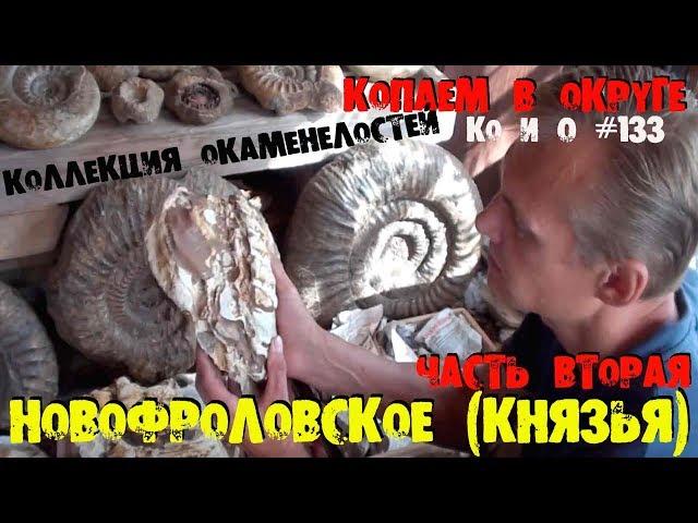 Ко и О #133 НОВОФРОЛОВСКОЕ ОКАМЕНЕЛОСТИ АММОНИТЫ PALEONTOLOGIST COLLECTION OF AMMONITES FOSSILS