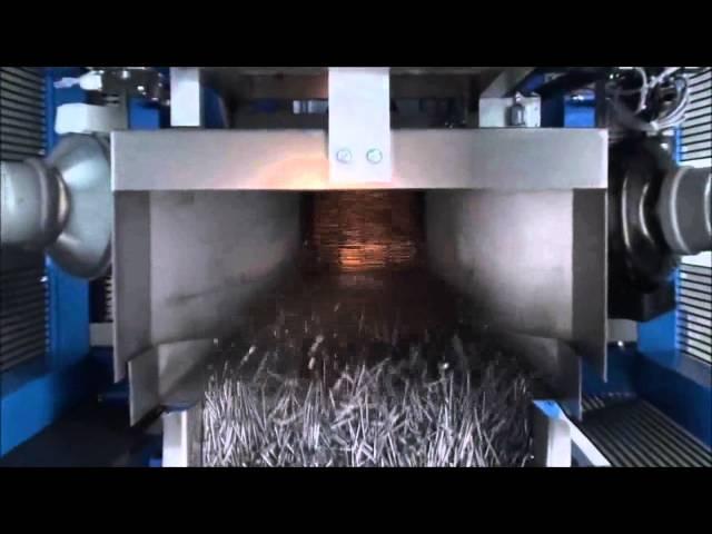 Weighpack Packaging Solutions - Bulk packing line for nails