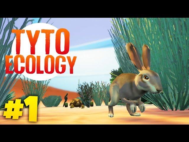 BUILDING OUR OWN ECOSYSTEM | Tyto Ecology (Week 1)