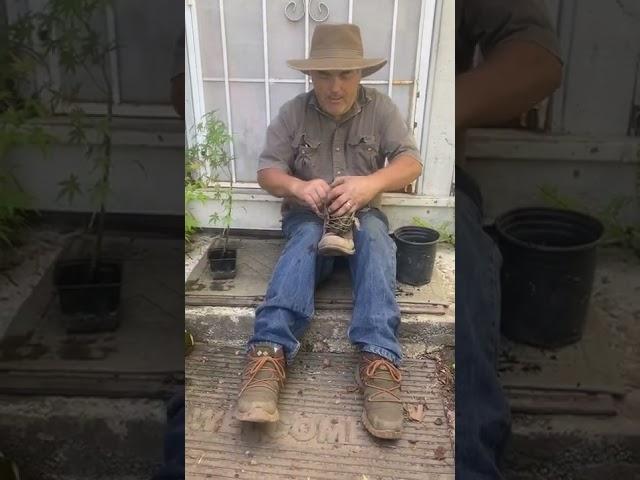 Bonsai in a boot. Landscape restoration by Dan Pozzi￼￼