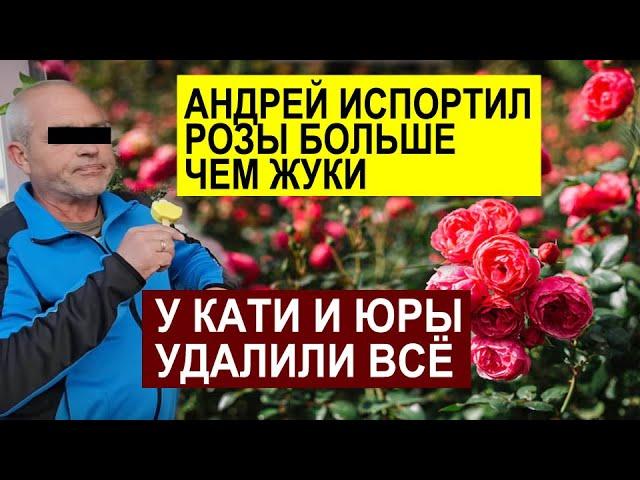 В АРЕНДУ ИЛИ КУПИЛ КВАРТИРА