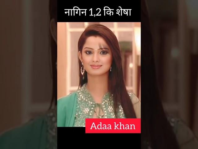 adaa khan ( shesha is back ) 1989 to present life #shorts #youtubeshort #viral #entertainment