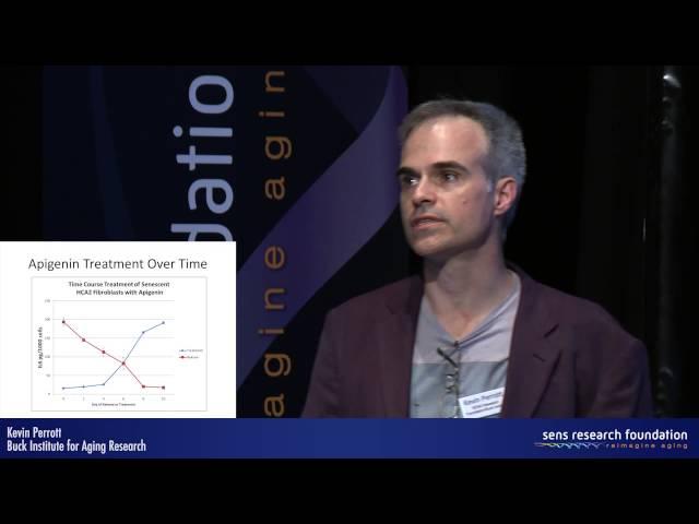 Targeting the senescence-associated secretory phenotype - Kevin Perrott