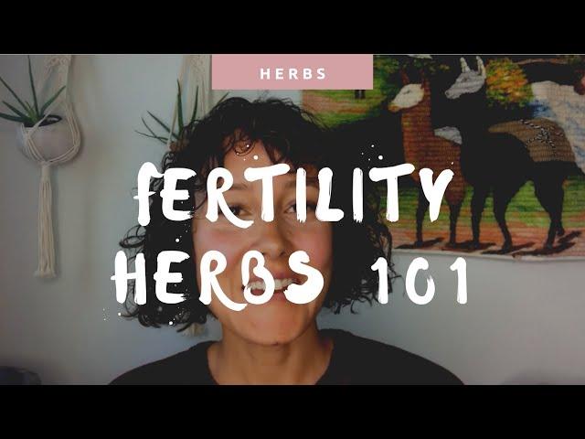 Fertility Herbs 101 - How to Get Started with Fertility Herbs