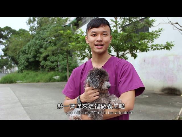 ARC亞洲非牟利動物救援 pet adoption 香港動物領養中心