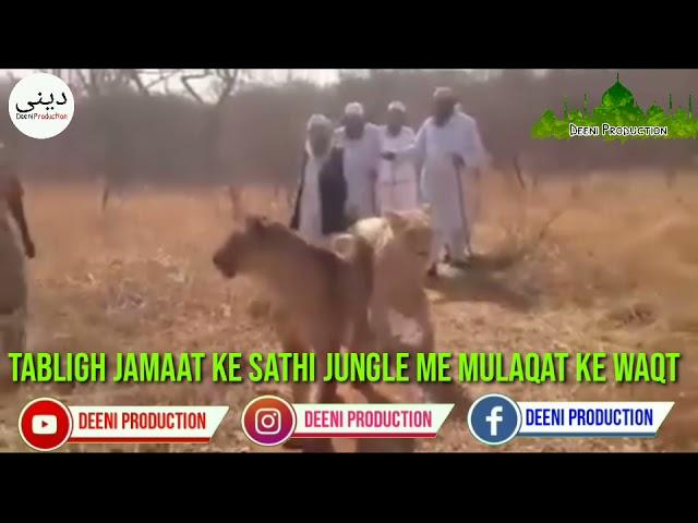 Tabligh Jamaat Wale Jungle Me Sher Ke Sath Mulaqat Ke Waqt Whatsapp Status Tablighi Jamaat