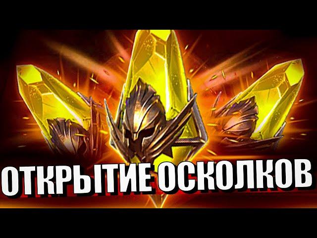 Стрим № 343 Капитан Пёсик Raid Shadow Legends