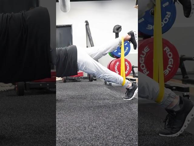 Plank Hip Extension #core #hips #stability