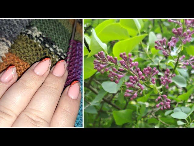 19.05.25 г. Дождалась ️ Мысли вслух  хочу спросить...забыла что
