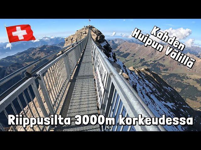 Peak Walk - Riippusilta vuorella - 10K TilaajaSpessu