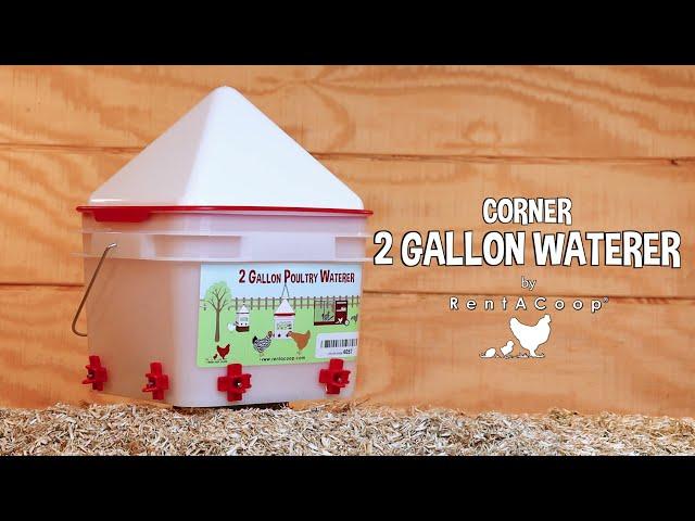 RentACoop 2 Gallon Chicken Waterer - Horizontal Nipple Setup (4 Nipple Corner)