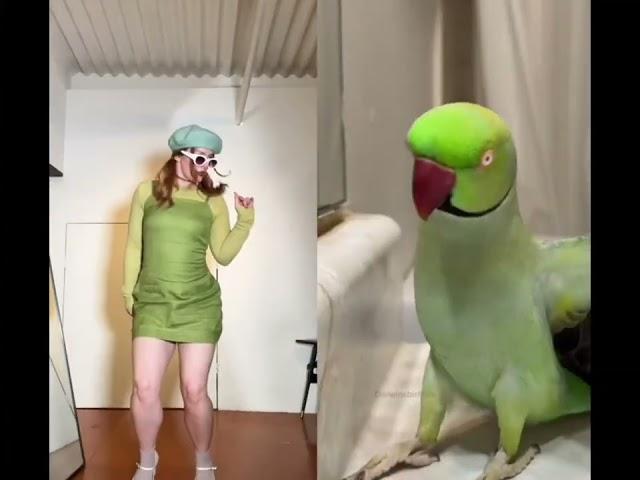 The Ultimate Dance Off - Smac vs Parrot