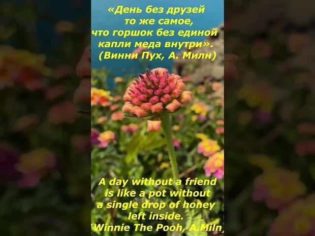 Цитаты о жизни "Великих людей". Часть 1