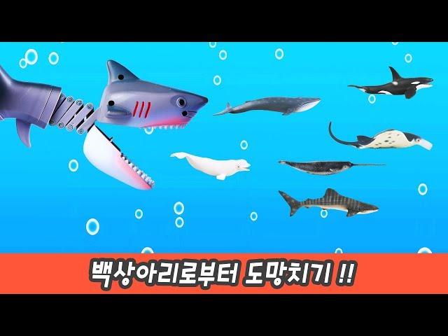 Escape from Shark, Learn Sea Animals Names Baby Shark and Whale Toys For Kids, collectaㅣCoCosToy