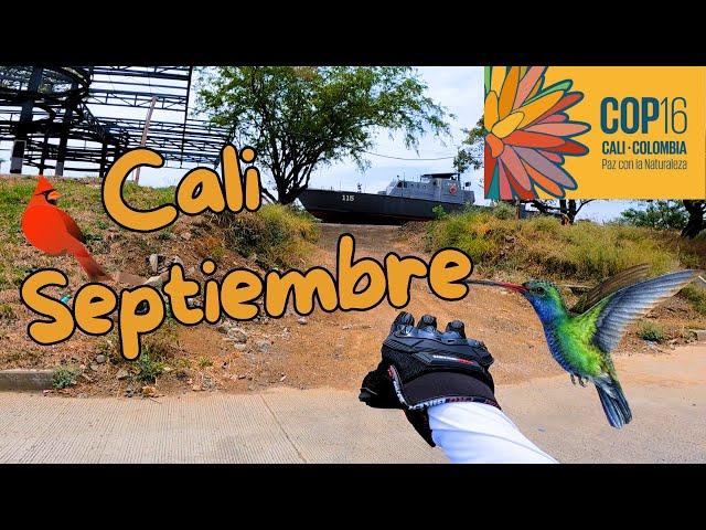 CALI A UN MES DE LA COP16 ¿Como esta? Motovlog