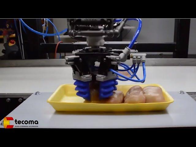 Un solo Gripper, Infinite Applicazioni: scopri il sistema mGrip™ di Soft Robotics Inc.