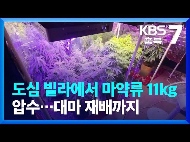 도심 빌라에서 마약류 11kg 압수…대마 재배까지 / KBS  2022.08.31.