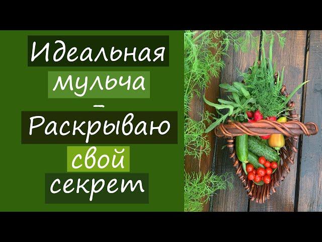 Идеальная мульча. Раскрываю свой секрет