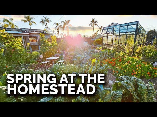 Spring Homestead Tour! It's Never Looked Better...