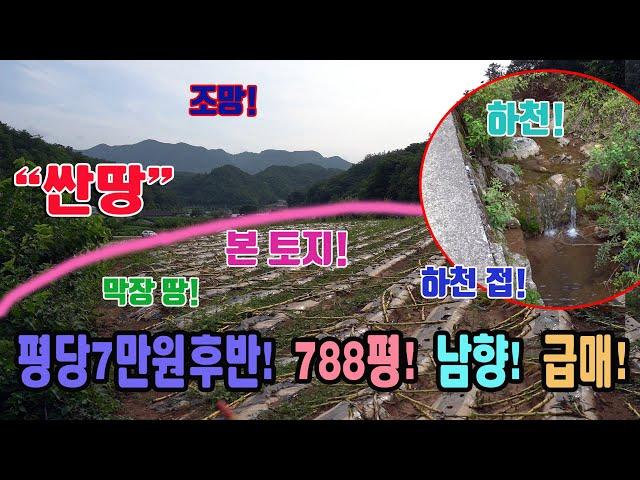 급매 하천 옆 땅 남향 조망 싼땅 평당7만원대 2605㎡ 788평 길 마지막 땅 사생활 보호 자연인 땅 주말농장 마을 상수도 충북 단양군 영춘면 별방리 토지 매매 단양부동산 급매