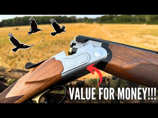 CROW SHOOT with ATA SP PRO 12 COMPETITION!! | IN THE FIELD REVIEW | PIGEON SHOOTING