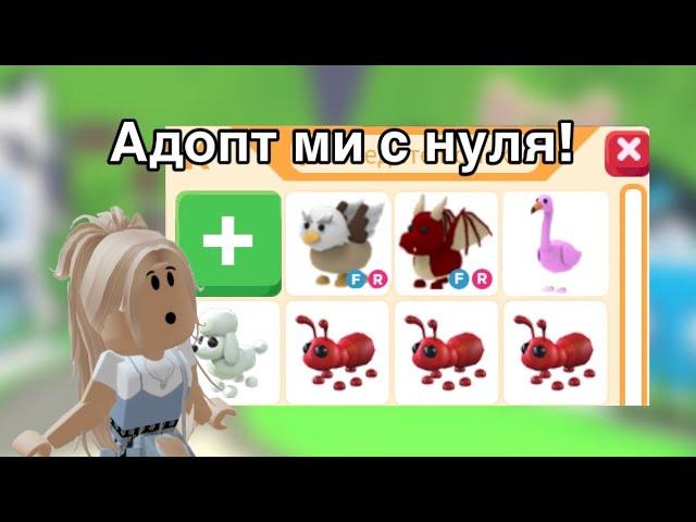 АДОПТ С НУЛЯ!Я В ШОКЕ С АДОПТЕРОВ! #адоптми #открытие