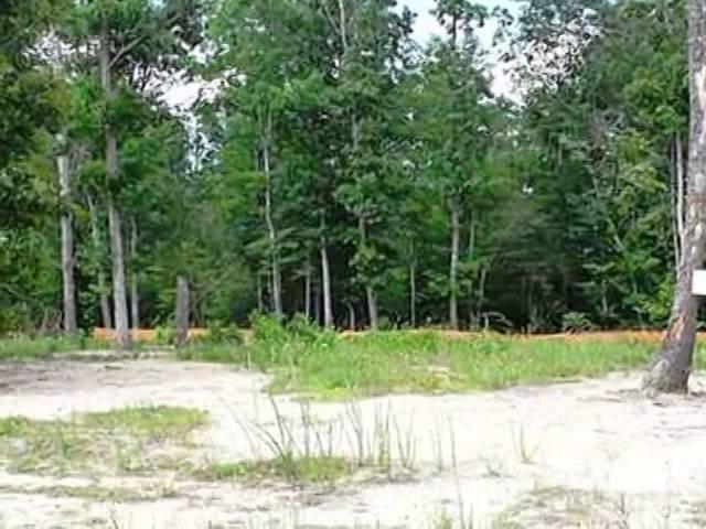 Homes for Sale - 4019 Brians Ln Suffolk VA 23434 - Tina Dubois