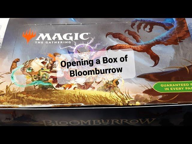 Opening a Box of Bloomburrow