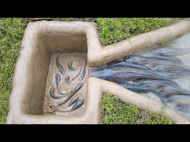 Amazing Hole Fish Trap- Smart Boy Build Fish Trap By Muddy soil ..