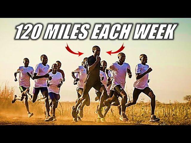 The TRUTH About JOSHUA CHEPTEGEI! || 4 World Records in 1 Year!