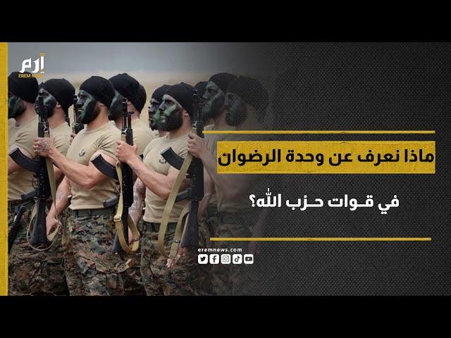 ماذا نعرف عن وحدة الرضوان في قوات حزب الله؟