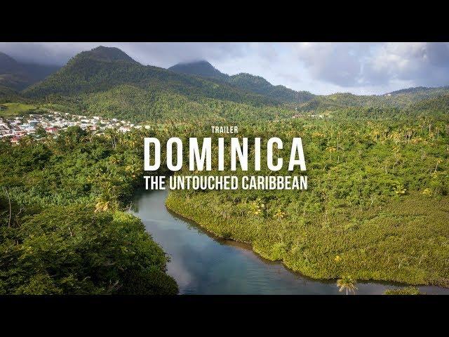 DOMINICA: The amazing nature of this Caribbean Island Cinematic