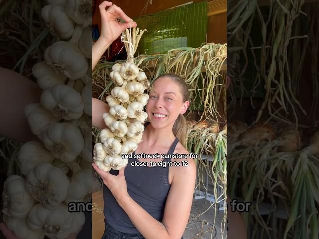 My Garlic Is Ready For Storage! #GrowYourOwnFood #backyardgardening #garlic  #HarvestRightSummer