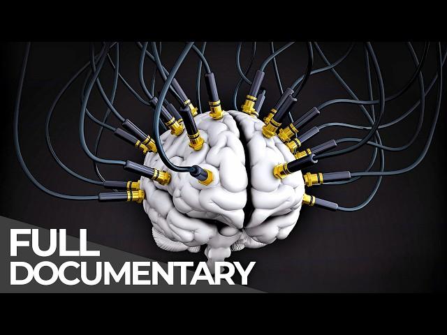 Inside the Mind of a Con Artist: The Science of Mega Scams | Full Series | Free Documentary