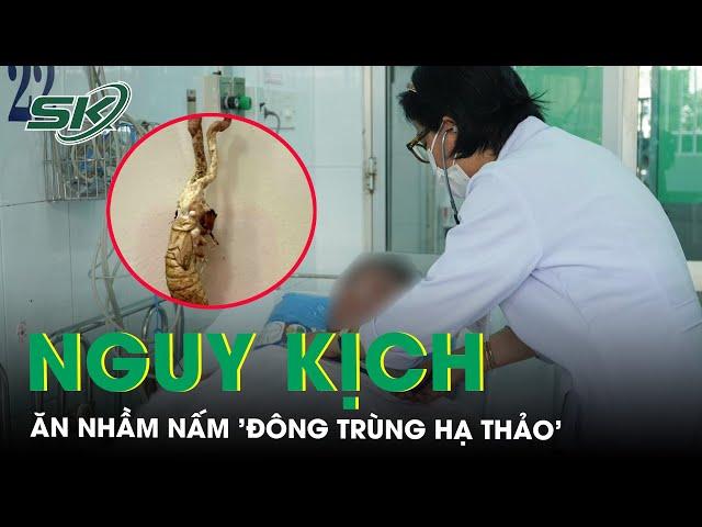 Nguy kịch vì ăn nấm lạ mọc từ nhộng ve sầu, nhầm tưởng là ‘đông trùng hạ thảo’ | SKĐS