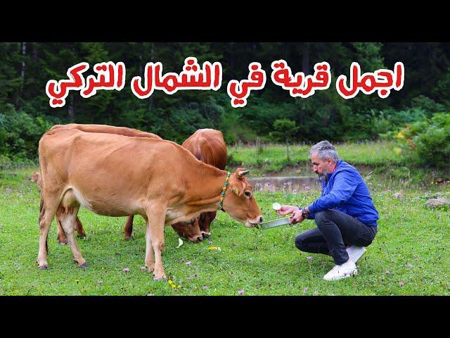 الفطور في الطبيعة | حياة الريف التركي | طرابزون تركيا 2021