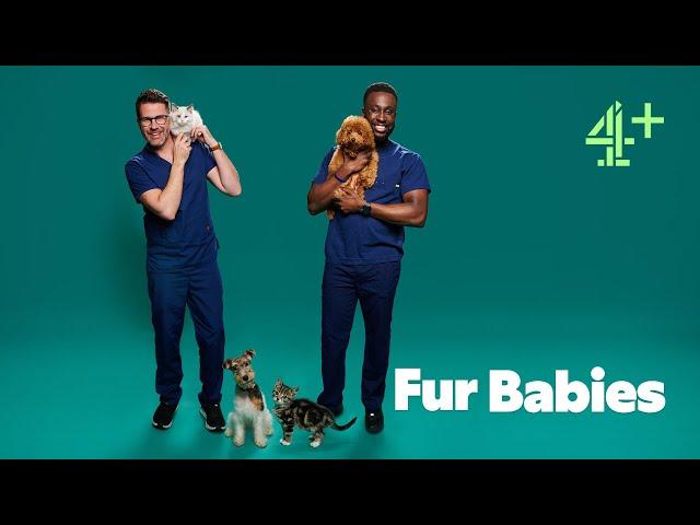 Fur Babies - 2023 - Channel 4 Series Trailer