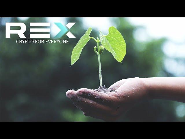 Staking Vs Trading Crypto - Lets Talk About Rex #shorts