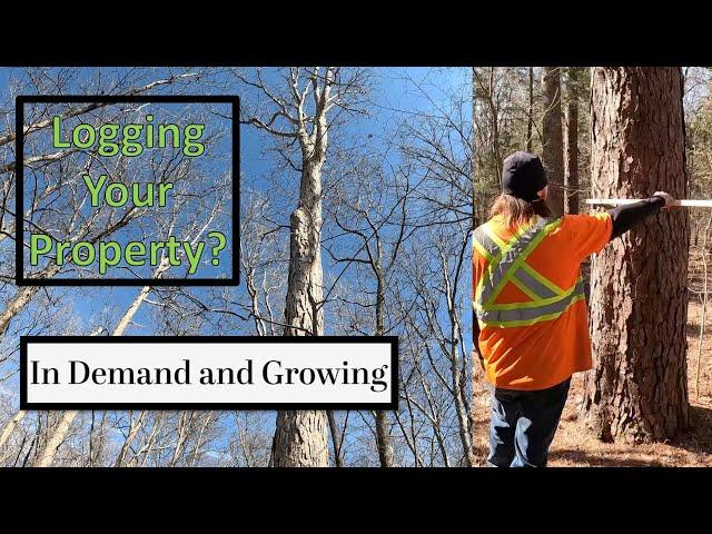 Logging your property-What you need to know- Project 291 Forestry consultant assessment (1/2)