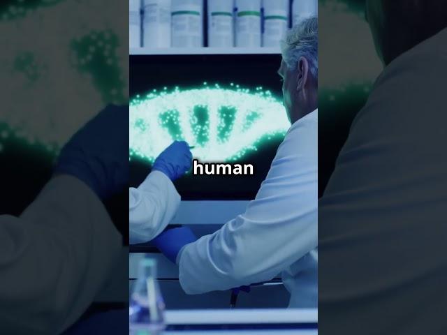 Risks and Ethics of Human Cloning