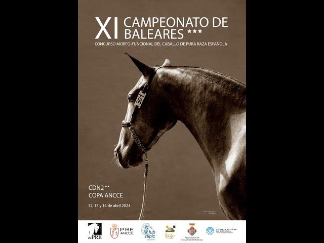 IX Campionat de Menorca, Concurso 3* Clasificatorio para SICAB Cto del Mundo