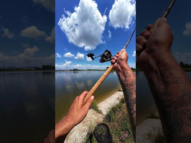 Fishing with ReWik #wedkarstwo #fishing #carprig #angeln #pesca #peche #rybolov #carp #carpfishing