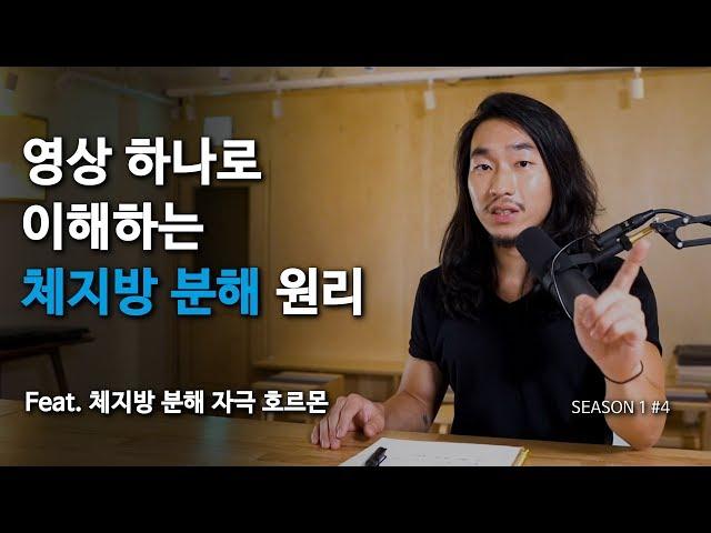 4.영상 하나로 이해하는 체지방 분해 원리(feat.체지방 분해 자극 호르몬)