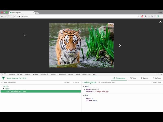 How to make a lightbox with Vue.js