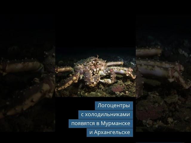 Новые технологии и стандарты в холодильной отрасли: события и инновации недели